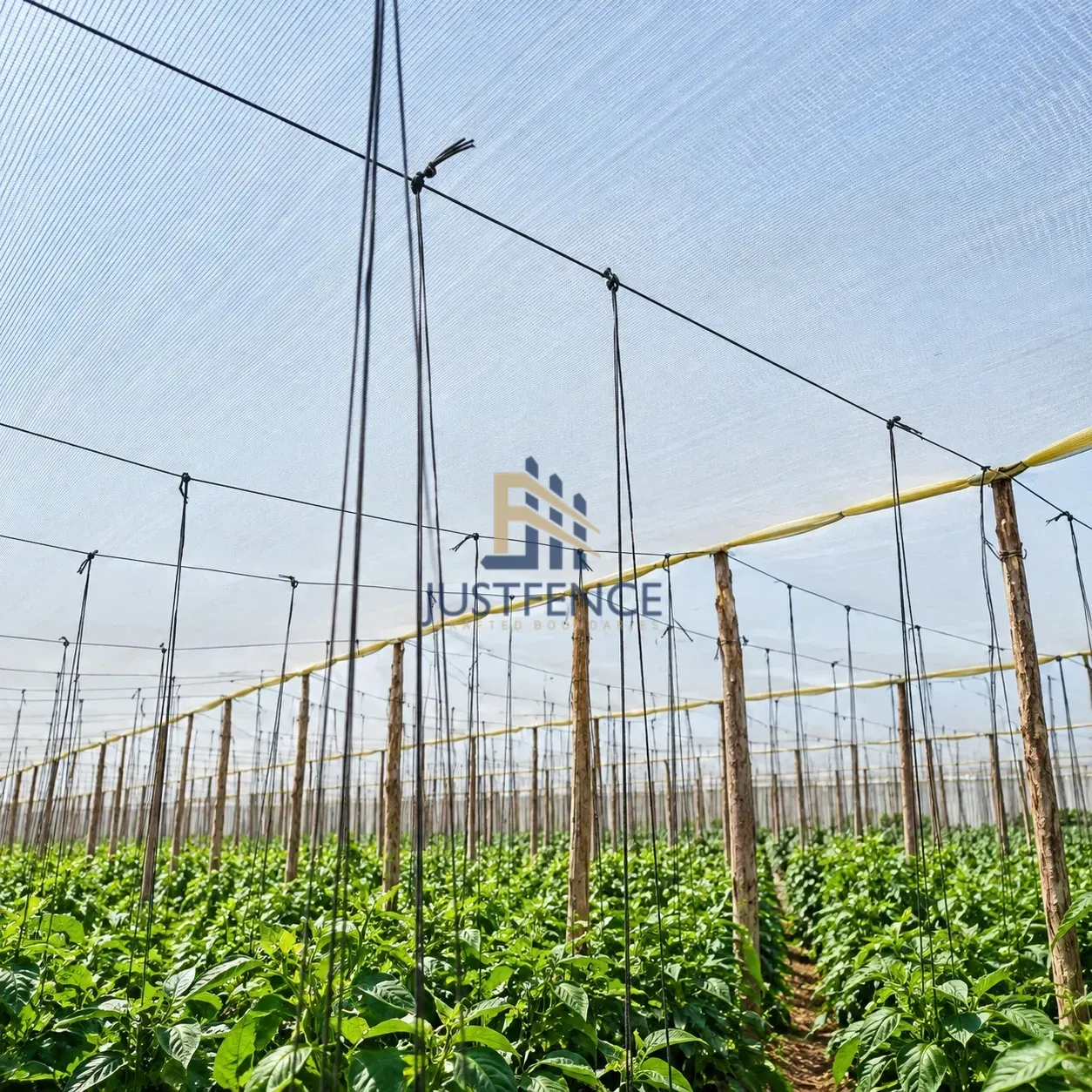 JF PET WIRE installation