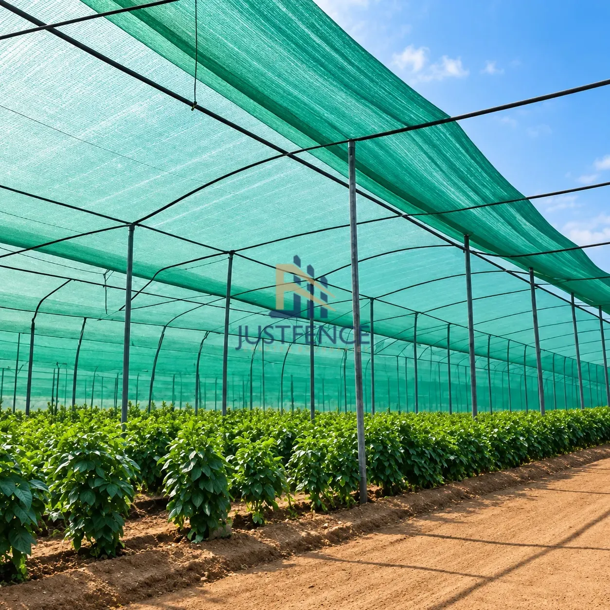 JF Shade Net installation
